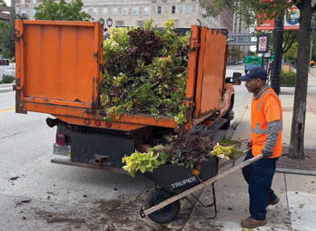 Rooted in Community: KEI and WCD Cultivate More Than Beauty at Baird Center